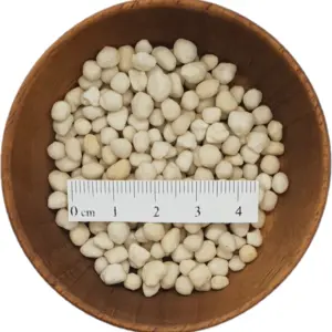 Saletrzak 27N CANWIL Anwil